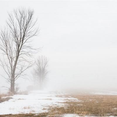 半岛官方网站下载